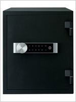 Large Data Fire Safe