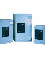 Fortress Safe