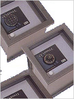 Guard all in Floor Safes