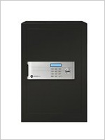 Professional Safe